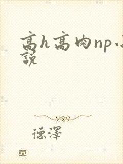 高h高肉np小说