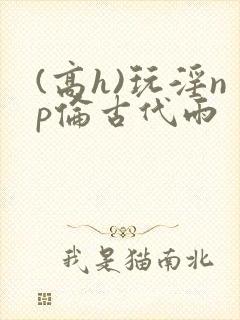 (高h)玩淫np伦古代雨