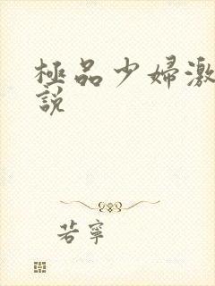 极品少妇激情小说