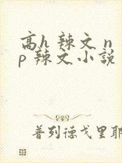 高h 辣文 np 辣文小说