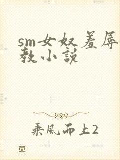 sm女奴羞辱调教小说封面