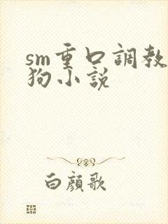 sm重口调教母狗小说封面