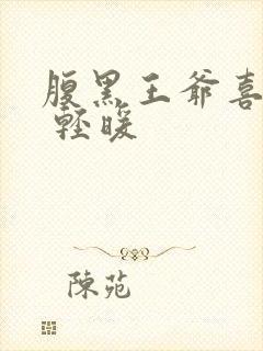 腹黑王爷喜当爹 轻暖