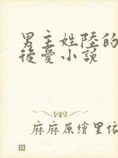 男主姓陆的先婚后爱小说