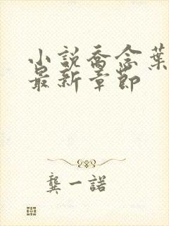 小说乔念叶妄川最新章节