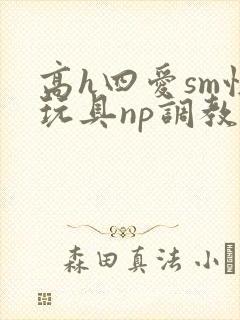 高h四爱sm性玩具np调教封面