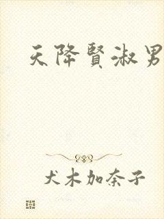 天降贤淑男小说