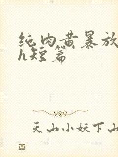 纯肉黄暴放荡高h短篇封面