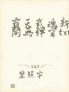 霸天武魂新笔趣阁无弹窗txt