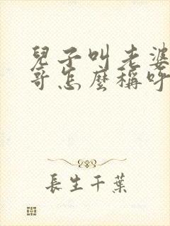 儿子叫老婆的哥哥怎么称呼