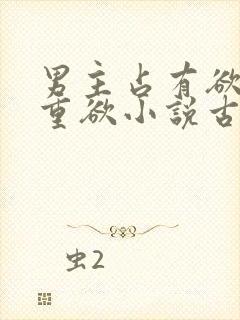 男主占有欲强且重欲小说古言