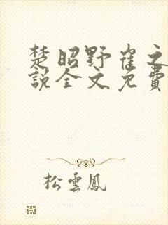 楚昭野崔之裳小说全文免费阅读封面