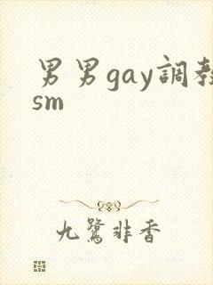 男男gay调教sm