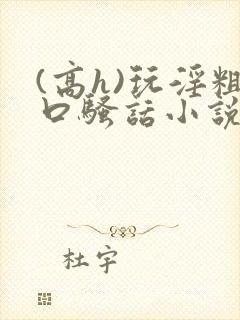 (高h)玩淫粗口骚话小说
