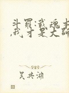 斗罗:武魂本体,我才是大师免费阅读封面