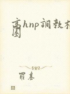 高hnp调教校园