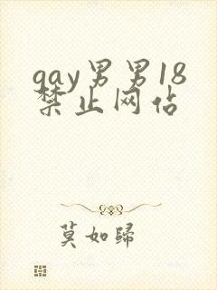 gay男男18禁止网站