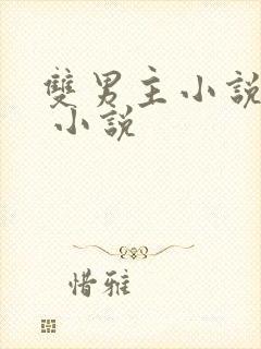 双男主小说推荐 小说