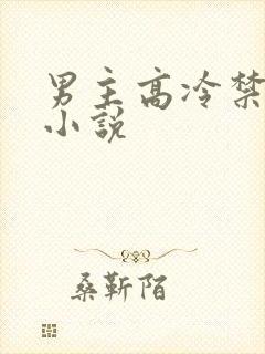 男主高冷禁欲系小说封面