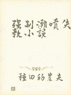 强制潮喷失禁调教小说