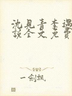 沈见青李遇泽小说全文免费阅读封面