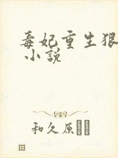 毒妃重生狠绝色 小说