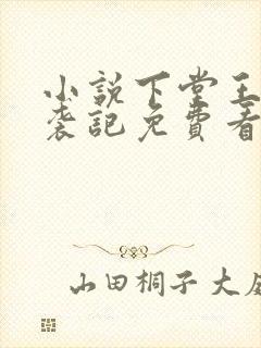 小说下堂王妃逆袭记免费看