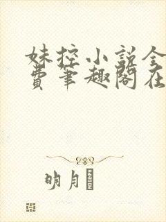 妹控小说全文免费笔趣阁在线阅读