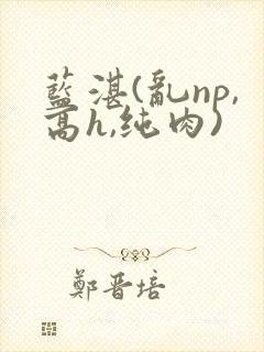 蓝湛(乱np,高h,纯肉)