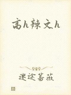 高h辣文h封面