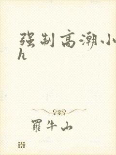 强制高潮小说高h