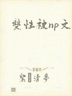 双性被np文