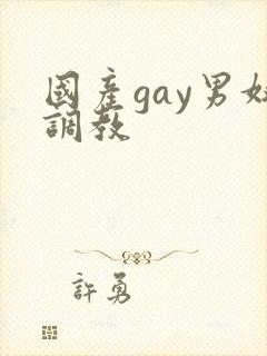 国产gay男奴调教封面