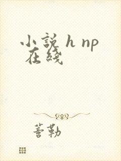 小说 h np 在线