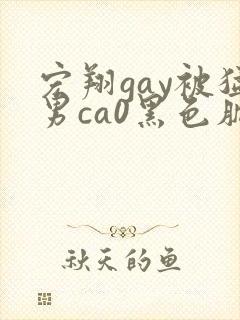 宏翔gay被猛男ca0黑色肌肉