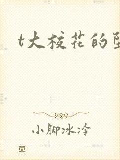 t大校花的堕落封面