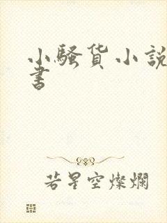 小骚货小说张秘书