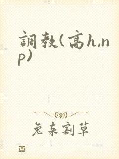 调教(高h,np)封面