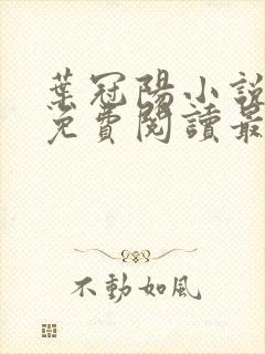 叶冠阳小说全文免费阅读最新章节