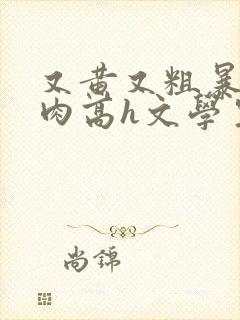 又黄又粗暴的纯肉高h文学生男男