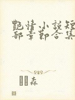 艳情小说短篇全部章节合集免费阅读