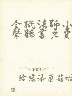 全职法师小说有声听书免费封面