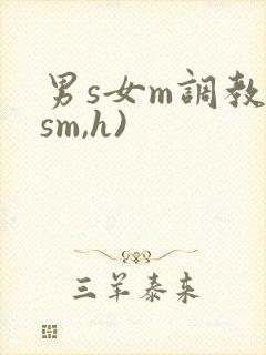 男s女m调教(sm,h)