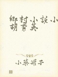 乡村小说小雷和胡秀英封面