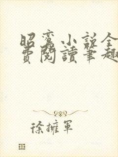 昭鸾小说全文免费阅读笔趣阁