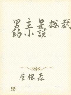 男主是总裁姓沈的小说封面