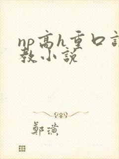 np高h重口调教小说