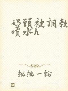 奶头被调教玩弄喷水h封面