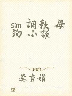 sm 调教 母狗 小说