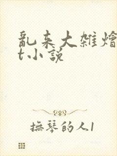 乱来大杂烩txt小说